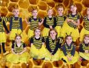 bienen