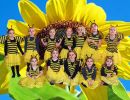 bienen